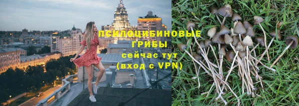 дурь Аркадак