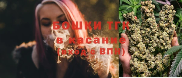 прущие грибы Армянск