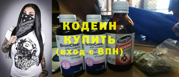 прущие грибы Армянск